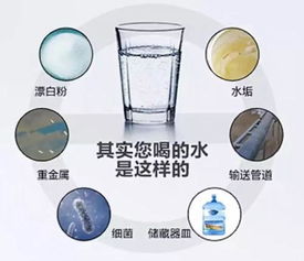 茂名市農(nóng)村地區(qū)水質(zhì)檢測指南 守護飲水安全，了解專業(yè)檢測單位